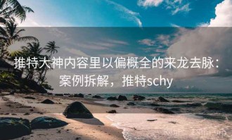 推特大神内容里以偏概全的来龙去脉：案例拆解，推特schy