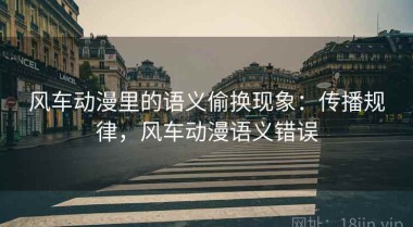 风车动漫里的语义偷换现象：传播规律，风车动漫语义错误