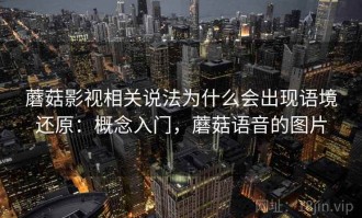 蘑菇影视相关说法为什么会出现语境还原：概念入门，蘑菇语音的图片