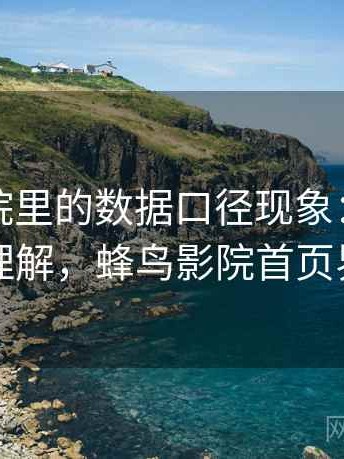 蜂鸟影院里的数据口径现象：更直观的理解，蜂鸟影院首页界面
