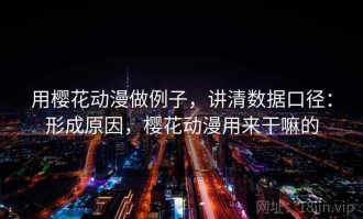 用樱花动漫做例子，讲清数据口径：形成原因，樱花动漫用来干嘛的