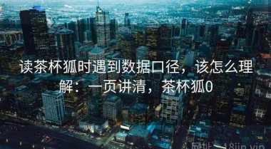 读茶杯狐时遇到数据口径，该怎么理解：一页讲清，茶杯狐0
