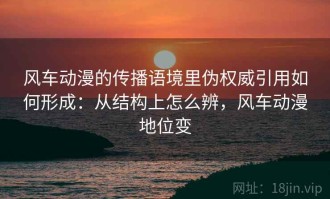 风车动漫的传播语境里伪权威引用如何形成：从结构上怎么辨，风车动漫地位变