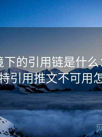 推特语境下的引用链是什么：常见表现，推特引用推文不可用怎么解决