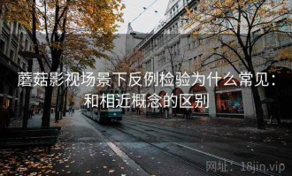 蘑菇影视场景下反例检验为什么常见：和相近概念的区别