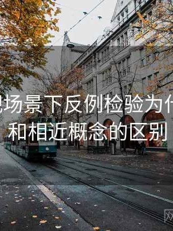 蘑菇影视场景下反例检验为什么常见：和相近概念的区别