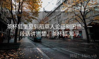 茶杯狐里见到稻草人论证别困惑：一段话讲清楚，茶杯狐 知乎