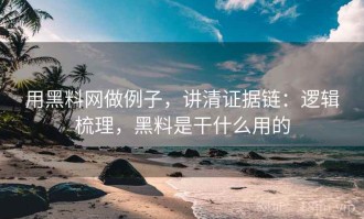 用黑料网做例子，讲清证据链：逻辑梳理，黑料是干什么用的