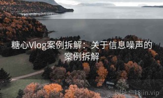 糖心Vlog案例拆解：关于信息噪声的案例拆解