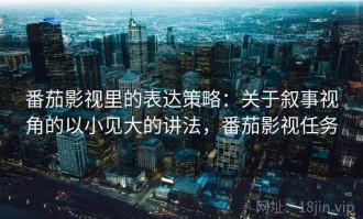 番茄影视里的表达策略：关于叙事视角的以小见大的讲法，番茄影视任务