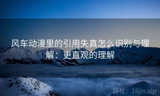 风车动漫里的引用失真怎么识别与理解：更直观的理解
