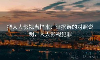 把人人影视当样本：证据链的对照说明，人人影视犯罪