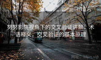 努努影院视角下的交叉验证讲解：术语释义，交叉验证的基本原理