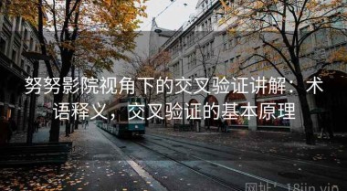 努努影院视角下的交叉验证讲解：术语释义，交叉验证的基本原理