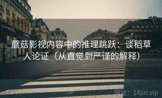 蘑菇影视内容中的推理跳跃：谈稻草人论证（从直觉到严谨的解释）