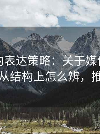 推特里的表达策略：关于媒体素养小工具的从结构上怎么辨，推特术语