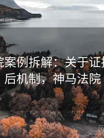 神马影院案例拆解：关于证据链的背后机制，神马法院