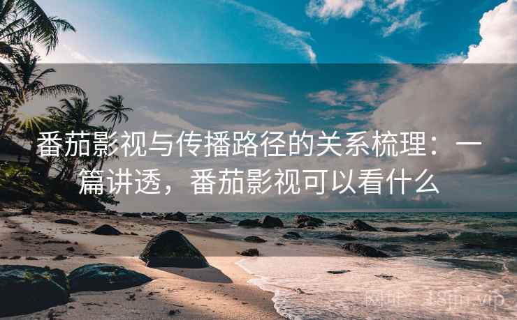 番茄影视与传播路径的关系梳理：一篇讲透，番茄影视可以看什么