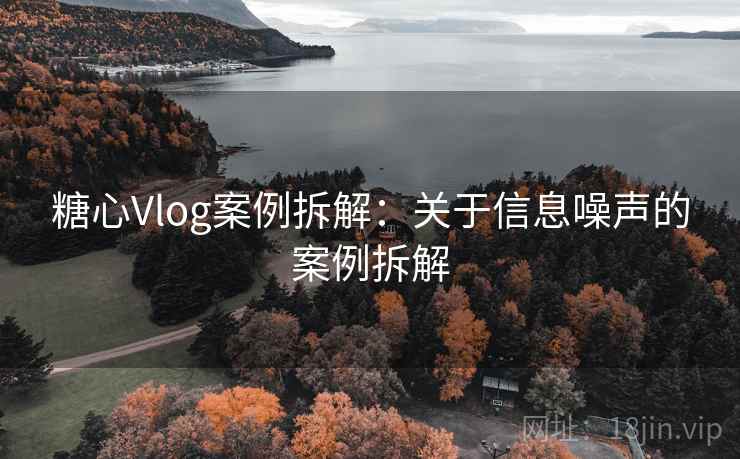 糖心Vlog案例拆解：关于信息噪声的案例拆解